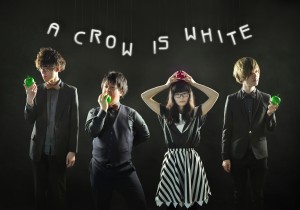 aCrowIsWhite カラスは真っ白の写真