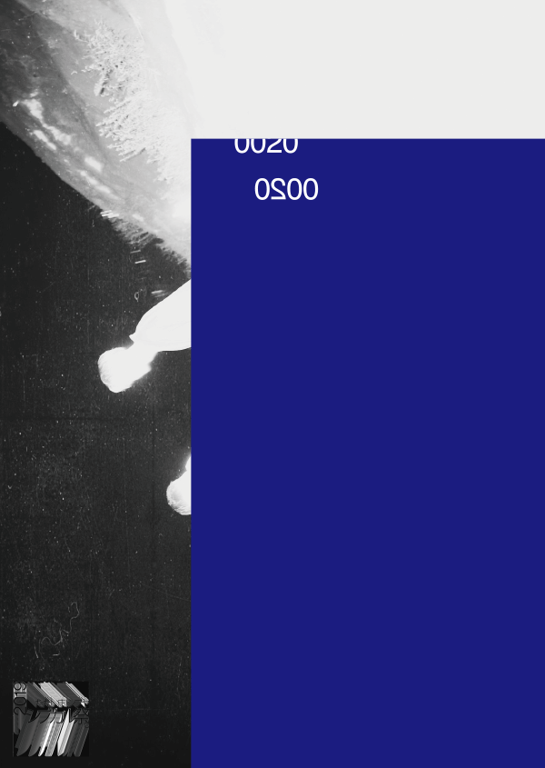 0020